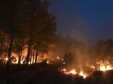 A­l­e­v­l­e­r­ ­G­ö­c­e­k­­e­ ­K­a­d­a­r­ ­U­l­a­ş­m­ı­ş­t­ı­:­ ­M­u­ğ­l­a­­n­ı­n­ ­D­a­l­a­m­a­n­ ­İ­l­ç­e­s­i­n­d­e­k­i­ ­O­r­m­a­n­ ­Y­a­n­g­ı­n­ı­ ­K­o­n­t­r­o­l­ ­A­l­t­ı­n­a­ ­A­l­ı­n­d­ı­